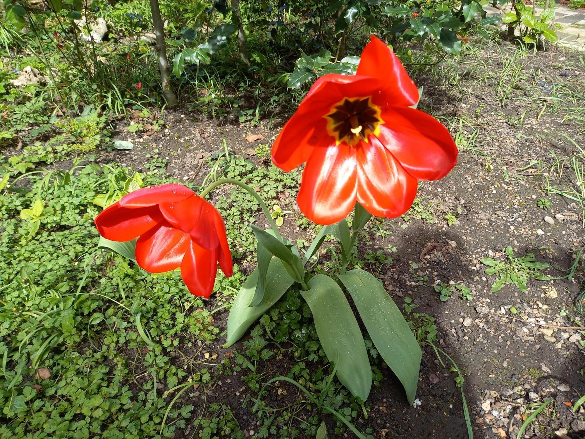 La Teranga De Kadi & Cathy, Avec Jardin Privatif Διαμέρισμα Νανσύ Εξωτερικό φωτογραφία