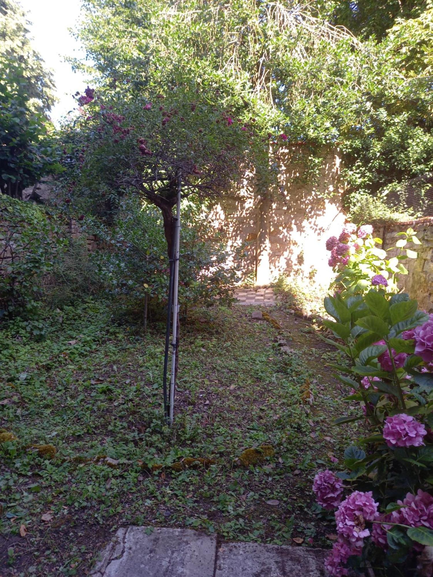 La Teranga De Kadi & Cathy, Avec Jardin Privatif Διαμέρισμα Νανσύ Εξωτερικό φωτογραφία