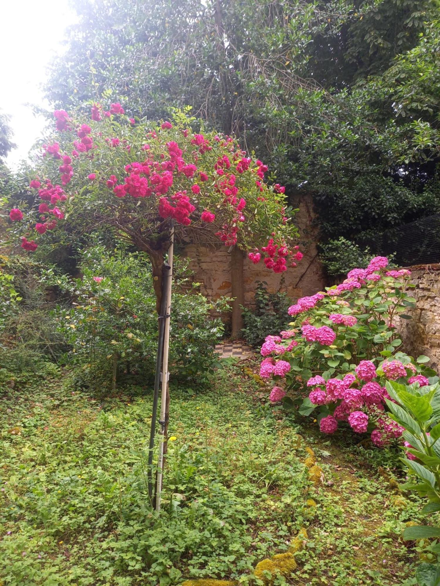 La Teranga De Kadi & Cathy, Avec Jardin Privatif Διαμέρισμα Νανσύ Εξωτερικό φωτογραφία